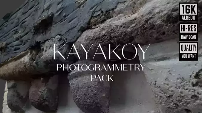 Abandoned House Ruined Part Scan - Fireplace Backwall 03