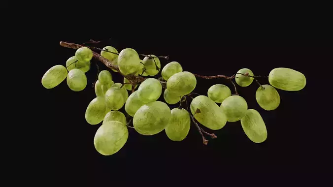 Green Grapes 
