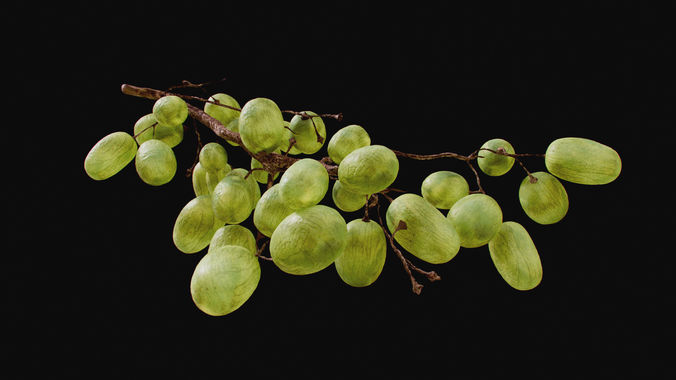 Green Grapes  3D model