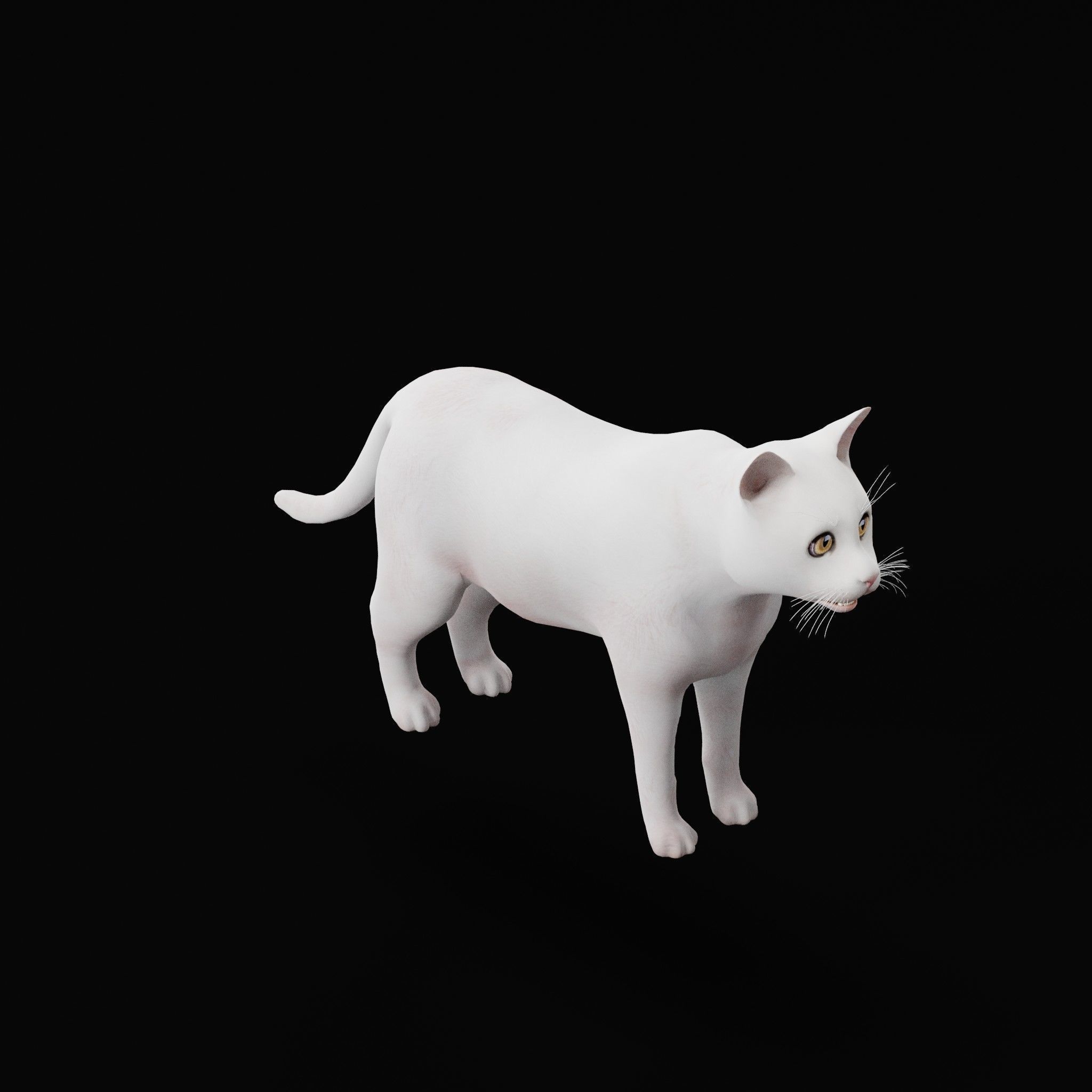 Cats Pack Low-poly 3D model_30