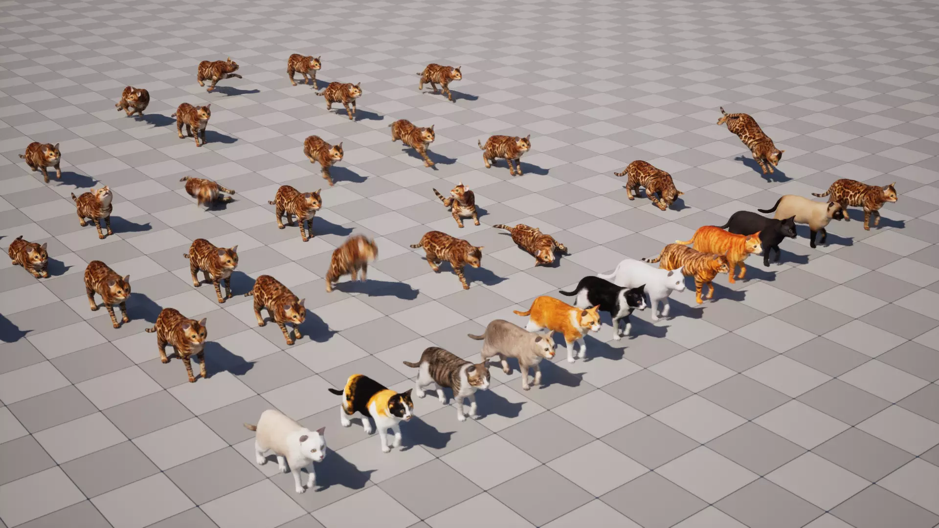 Cats Pack Low-poly 3D model_0