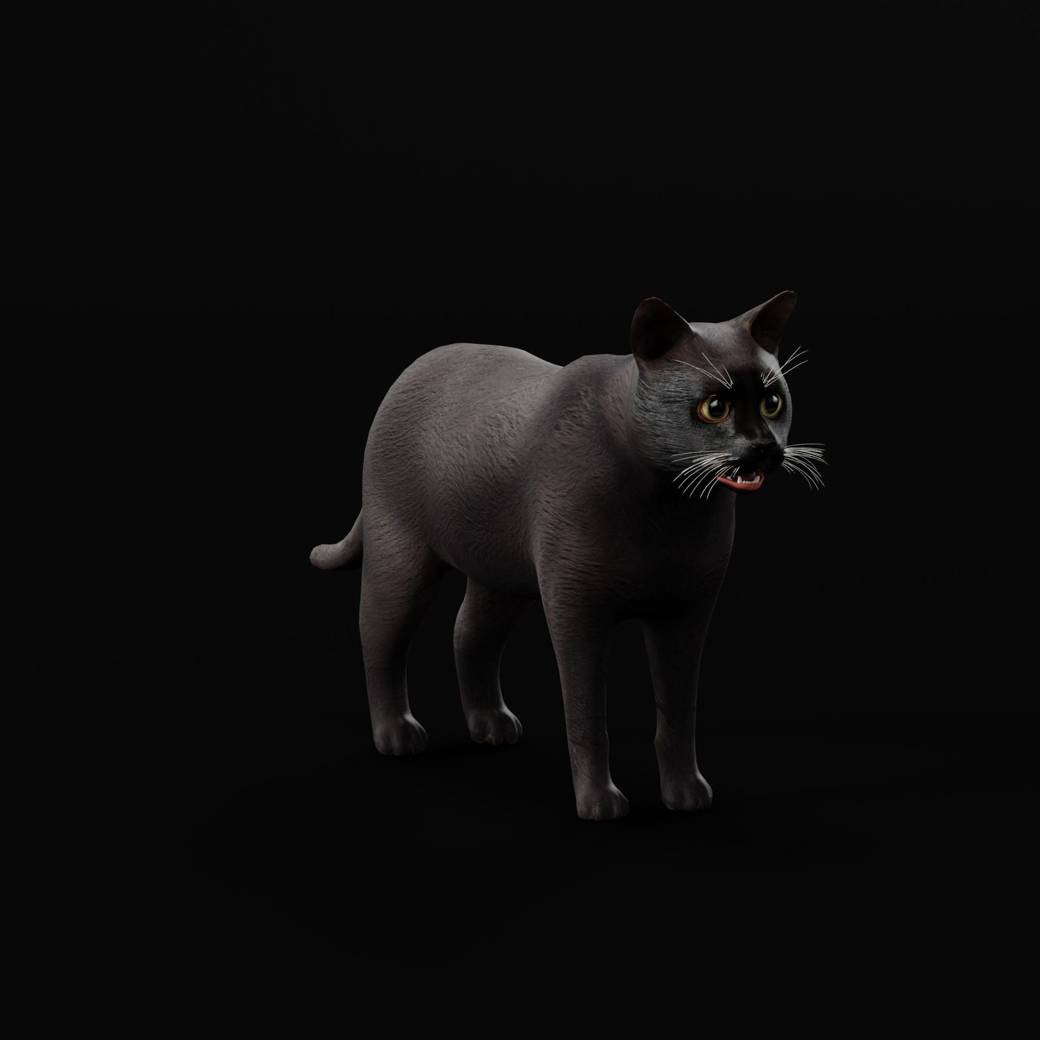 Cats Pack Low-poly 3D model_19
