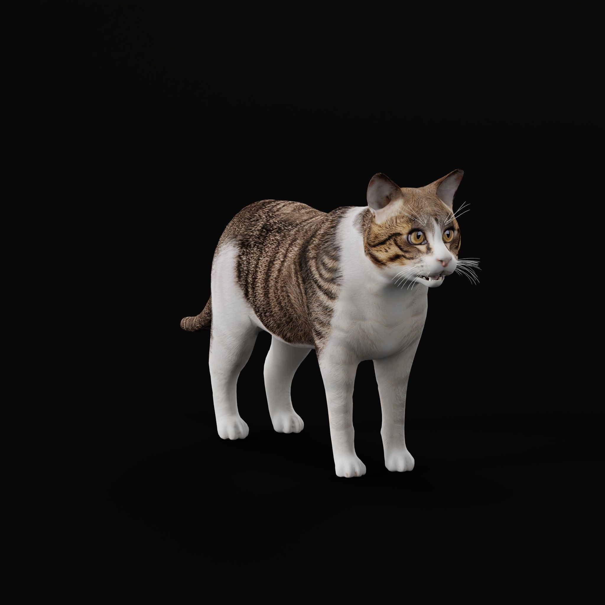 Cats Pack Low-poly 3D model_49