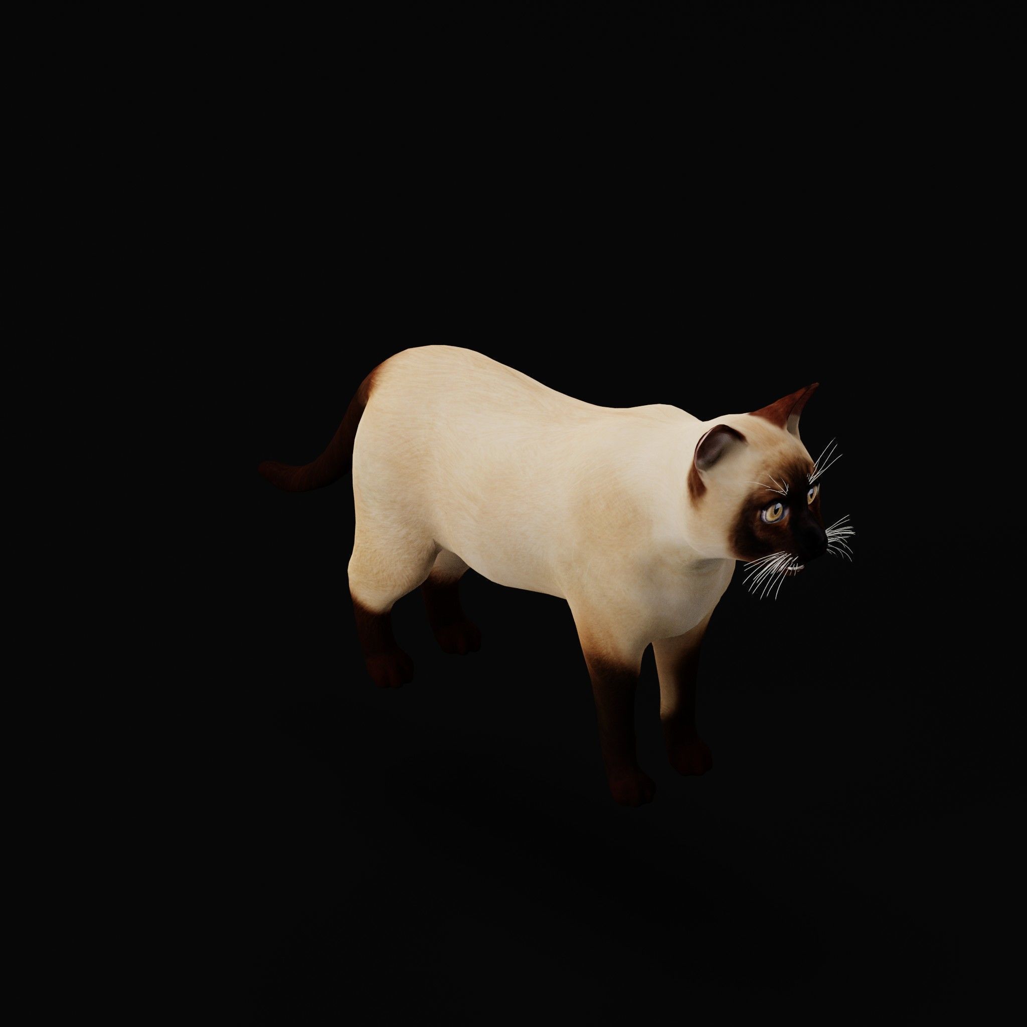 Cats Pack Low-poly 3D model_18