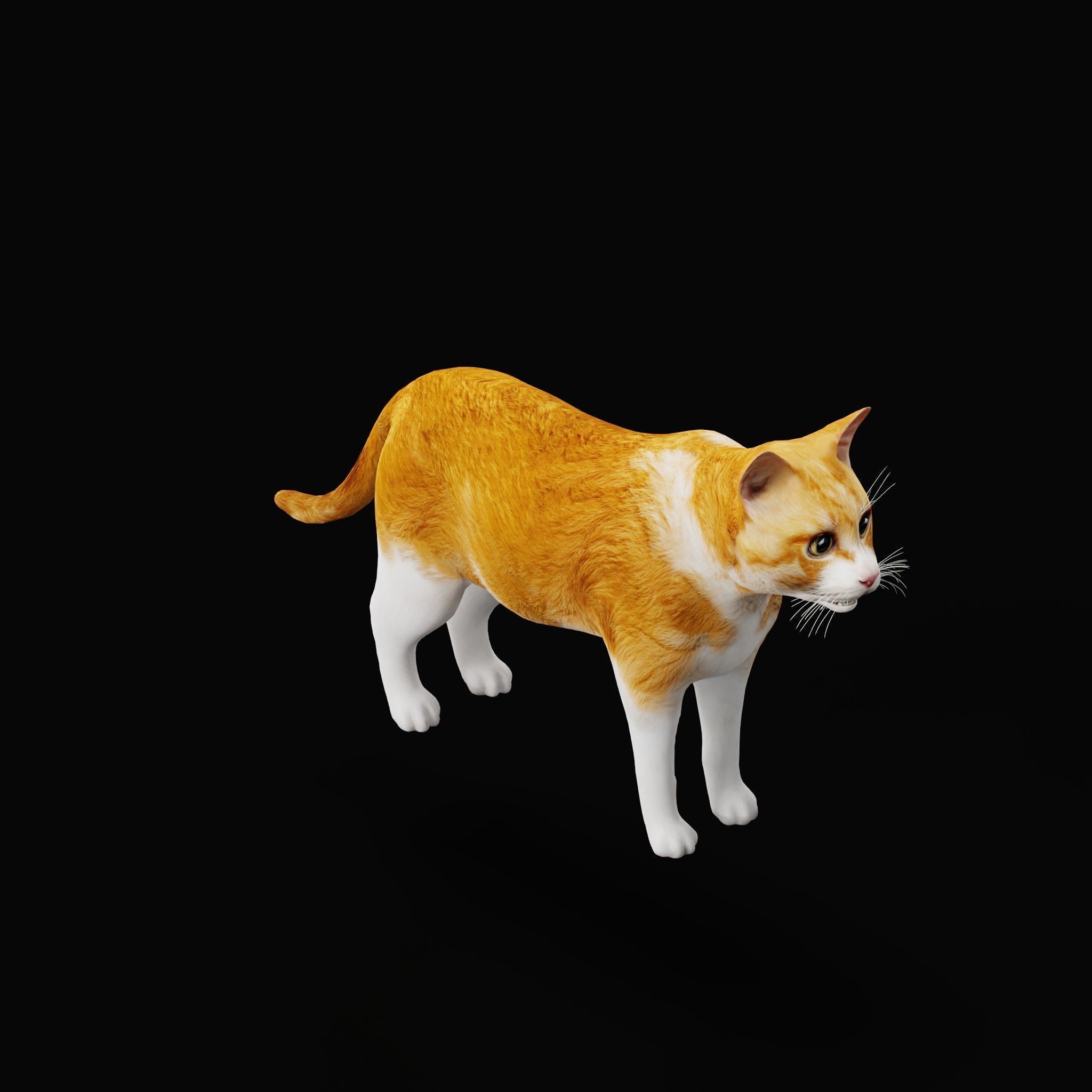 Cats Pack Low-poly 3D model_28