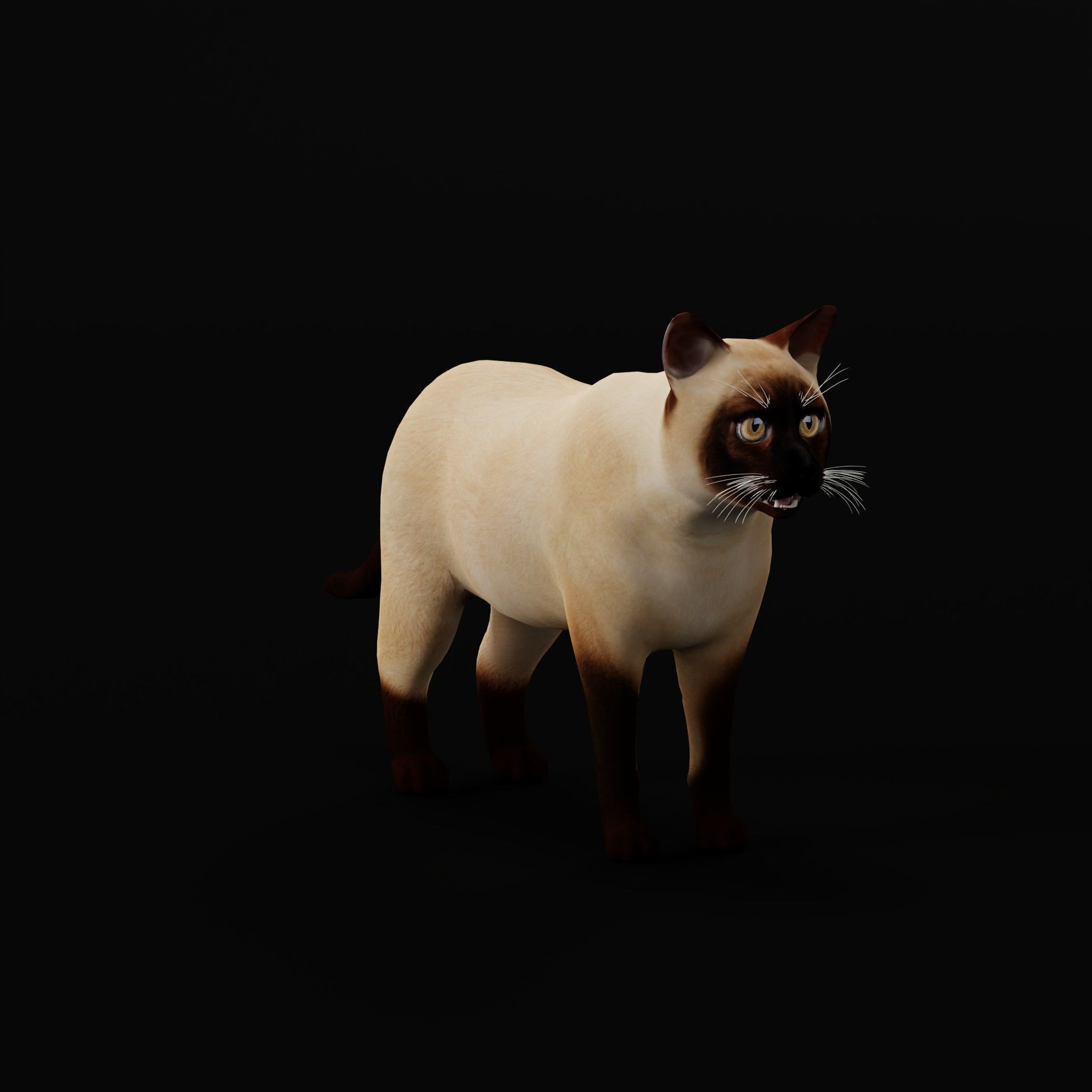 Cats Pack Low-poly 3D model_22