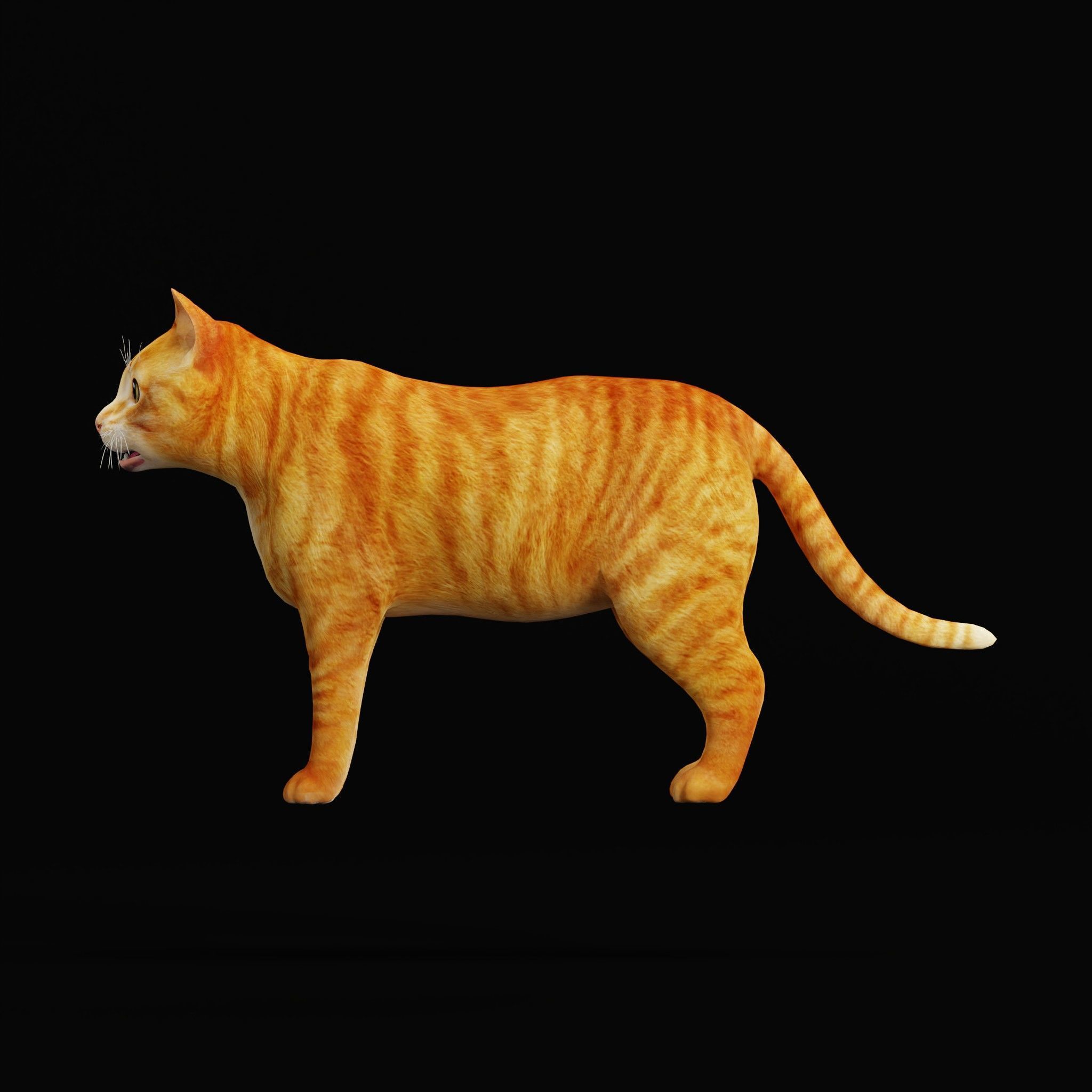 Cats Pack Low-poly 3D model_34