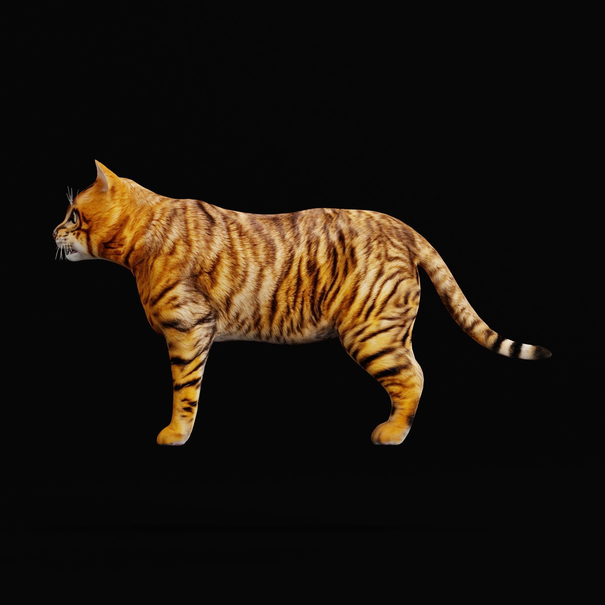 Cats Pack Low-poly 3D model_51