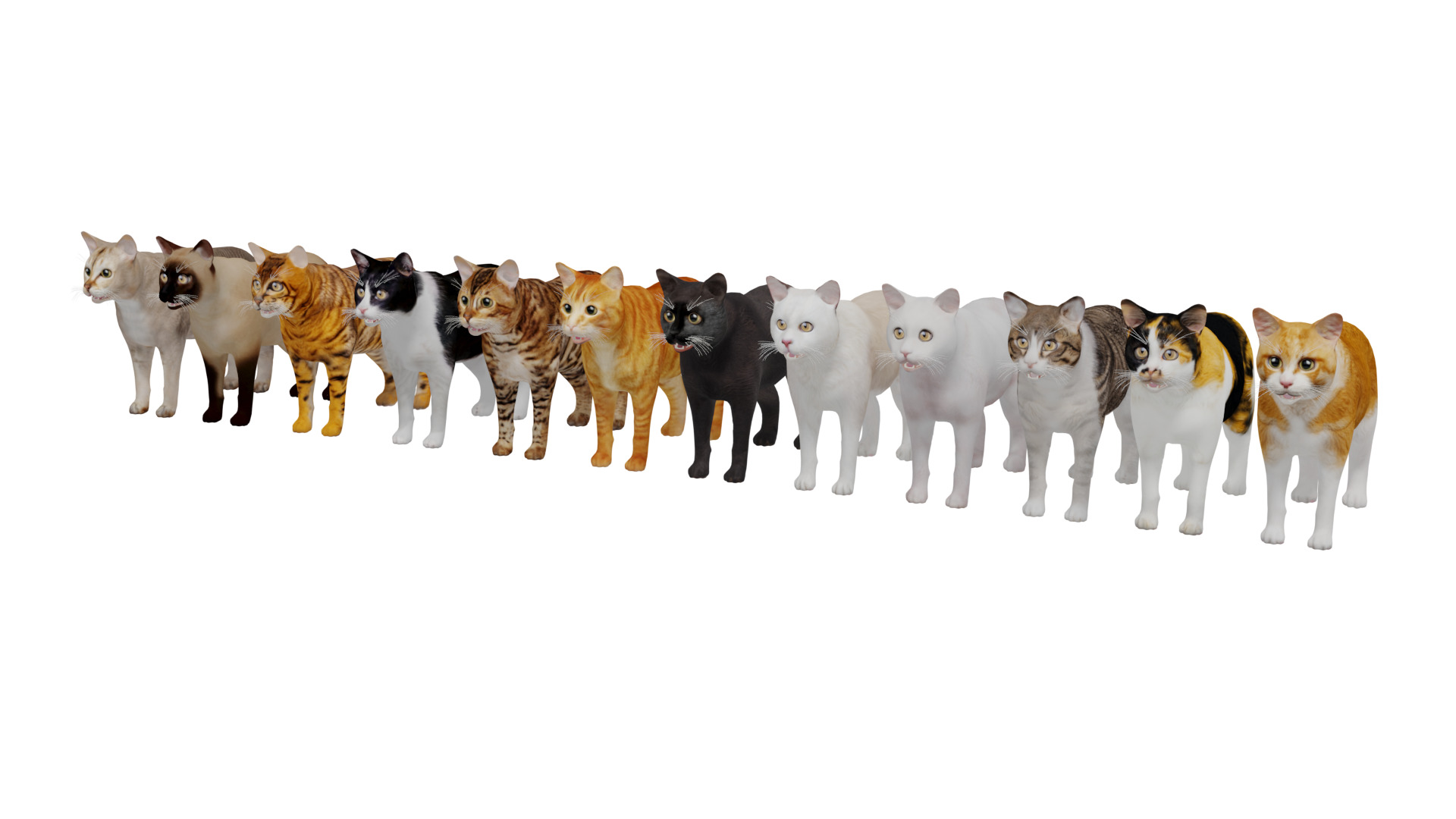 Cats Pack Low-poly 3D model_9