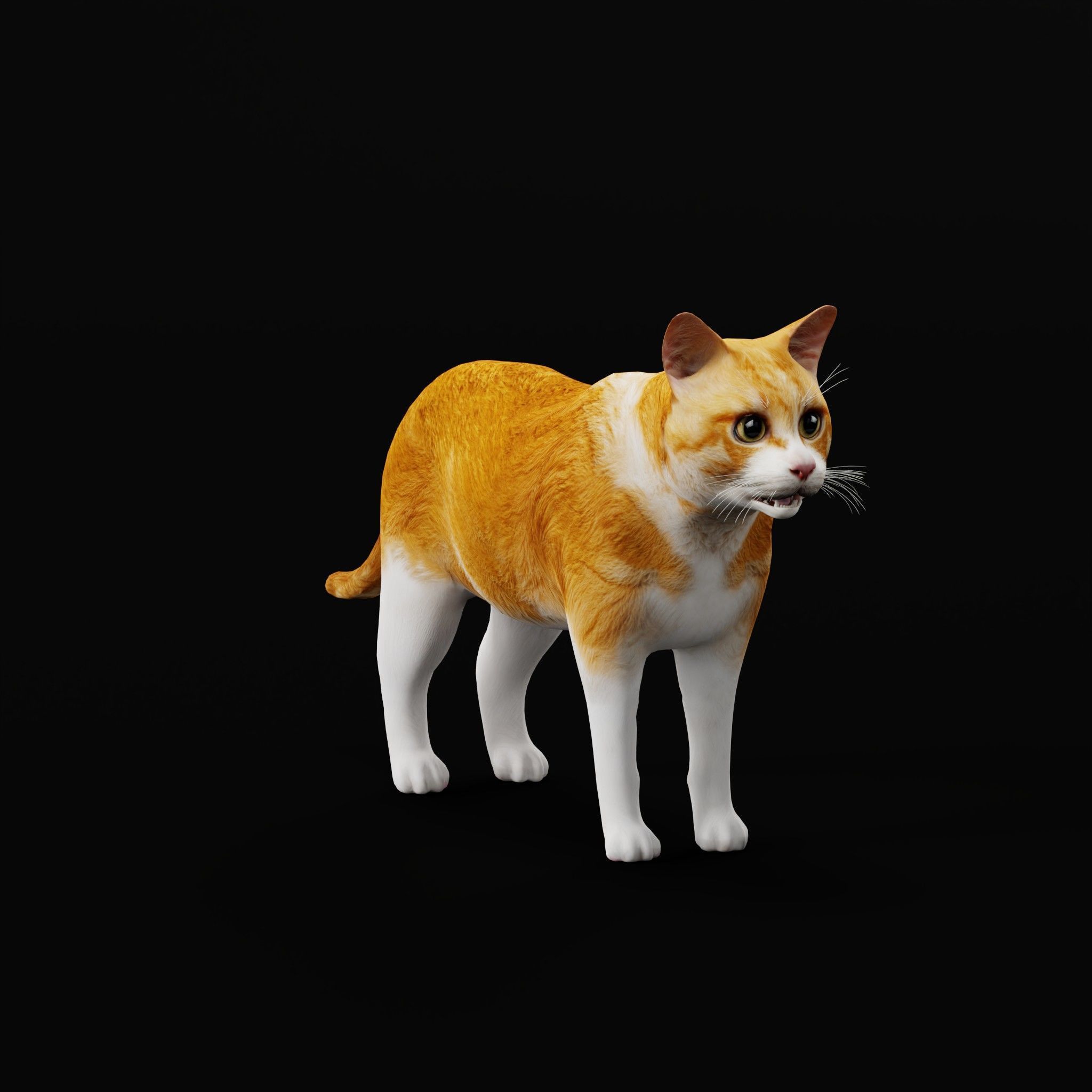 Cats Pack Low-poly 3D model_36