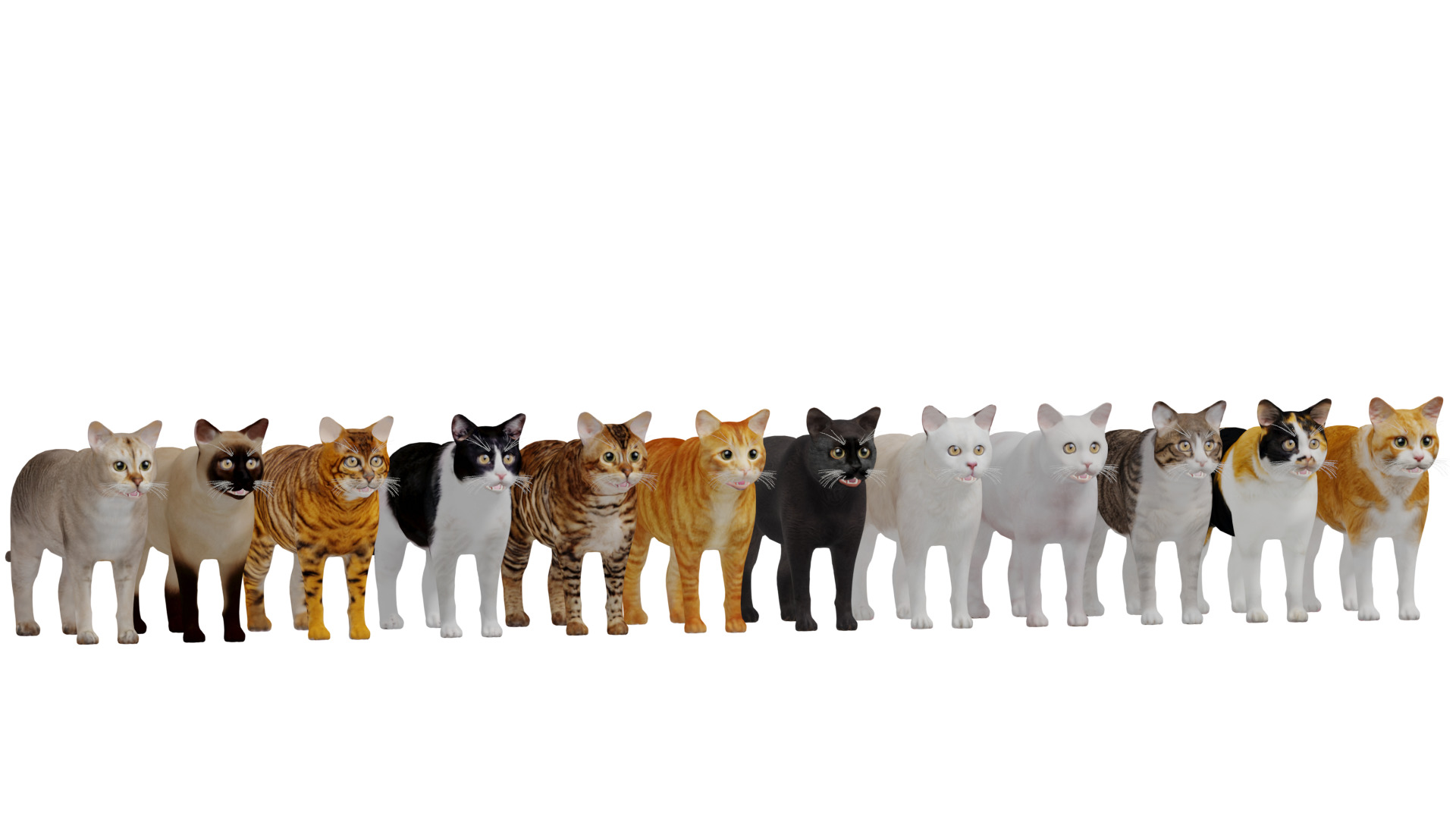 Cats Pack Low-poly 3D model_12