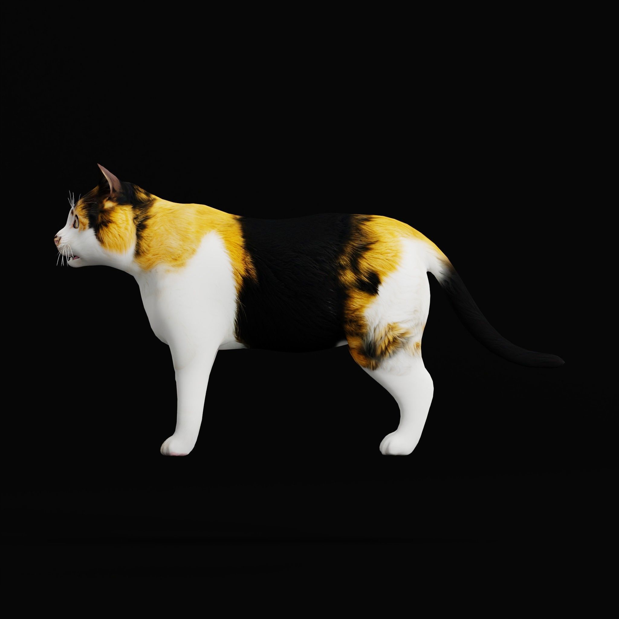 Cats Pack Low-poly 3D model_37