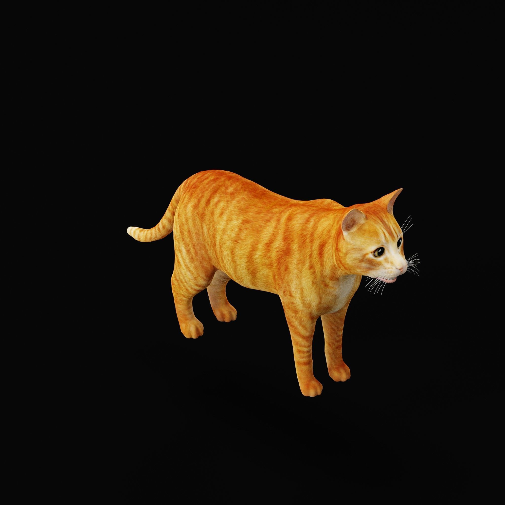 Cats Pack Low-poly 3D model_33