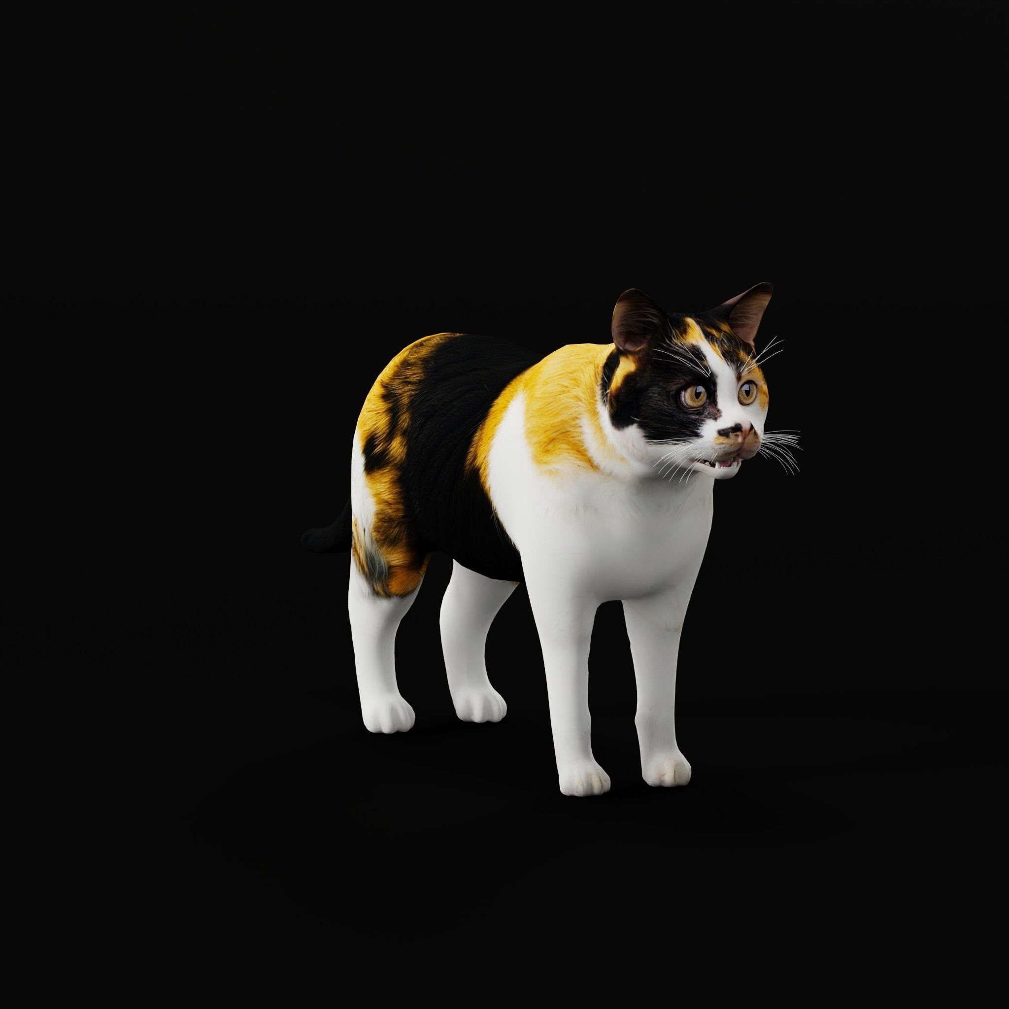 Cats Pack Low-poly 3D model_40