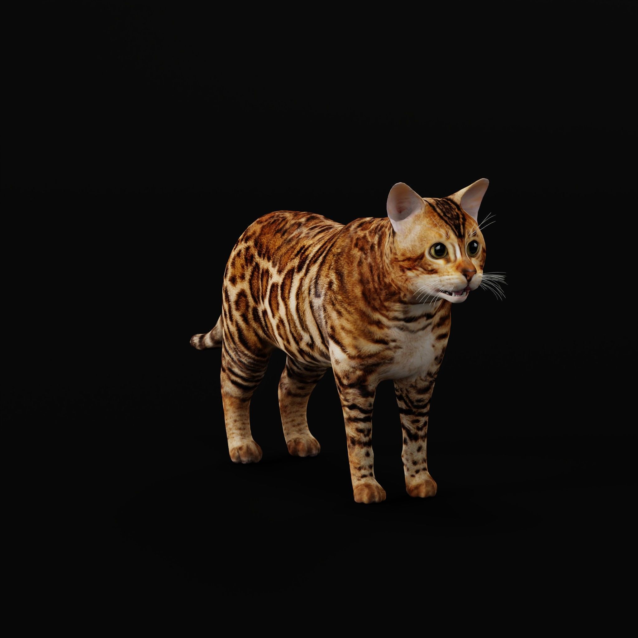 Cats Pack Low-poly 3D model_17