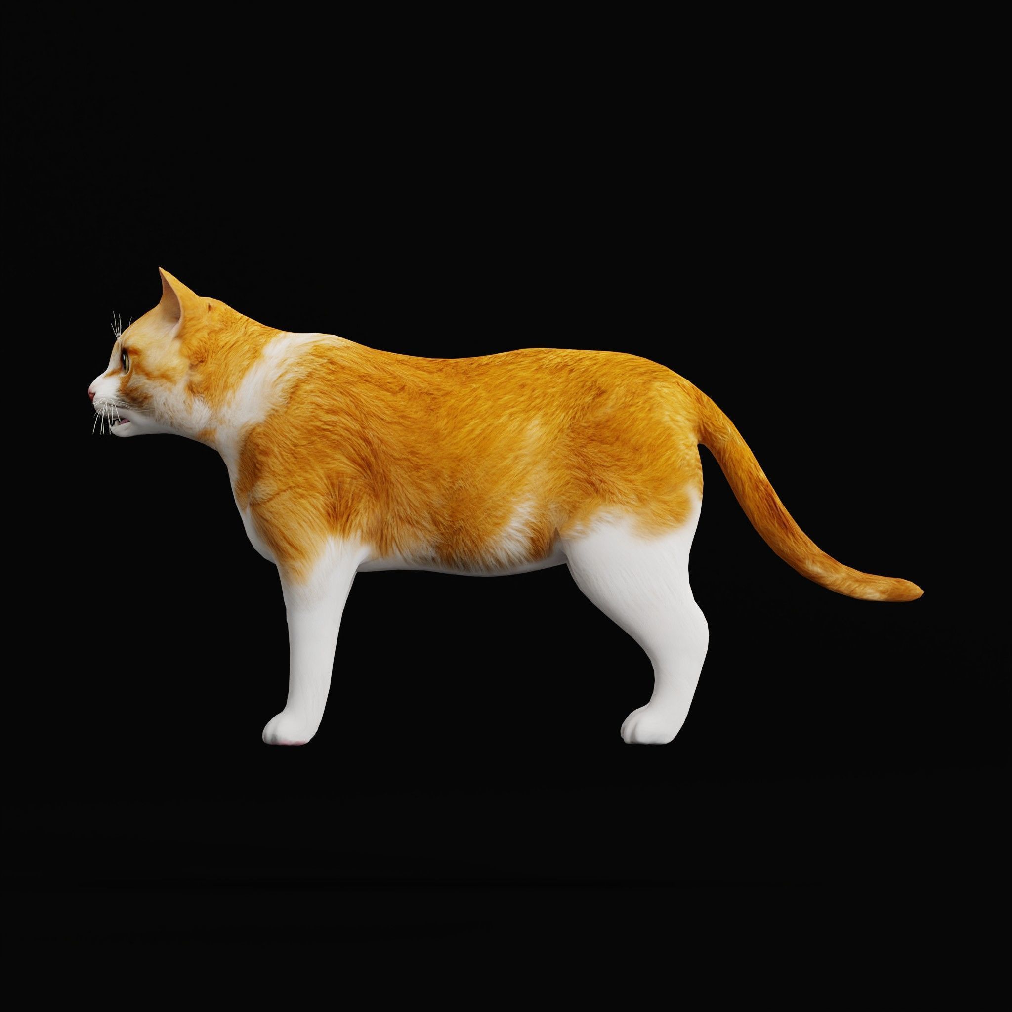 Cats Pack Low-poly 3D model_35