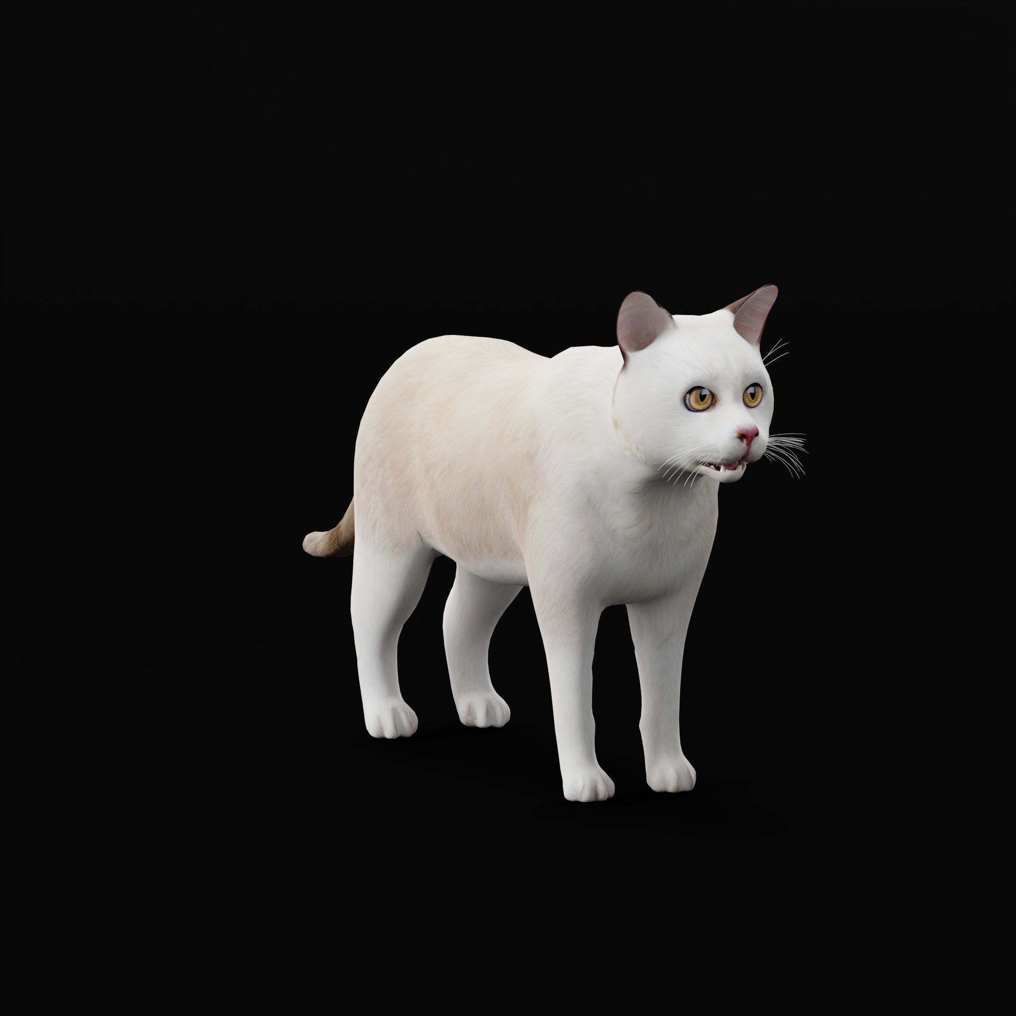 Cats Pack Low-poly 3D model_42