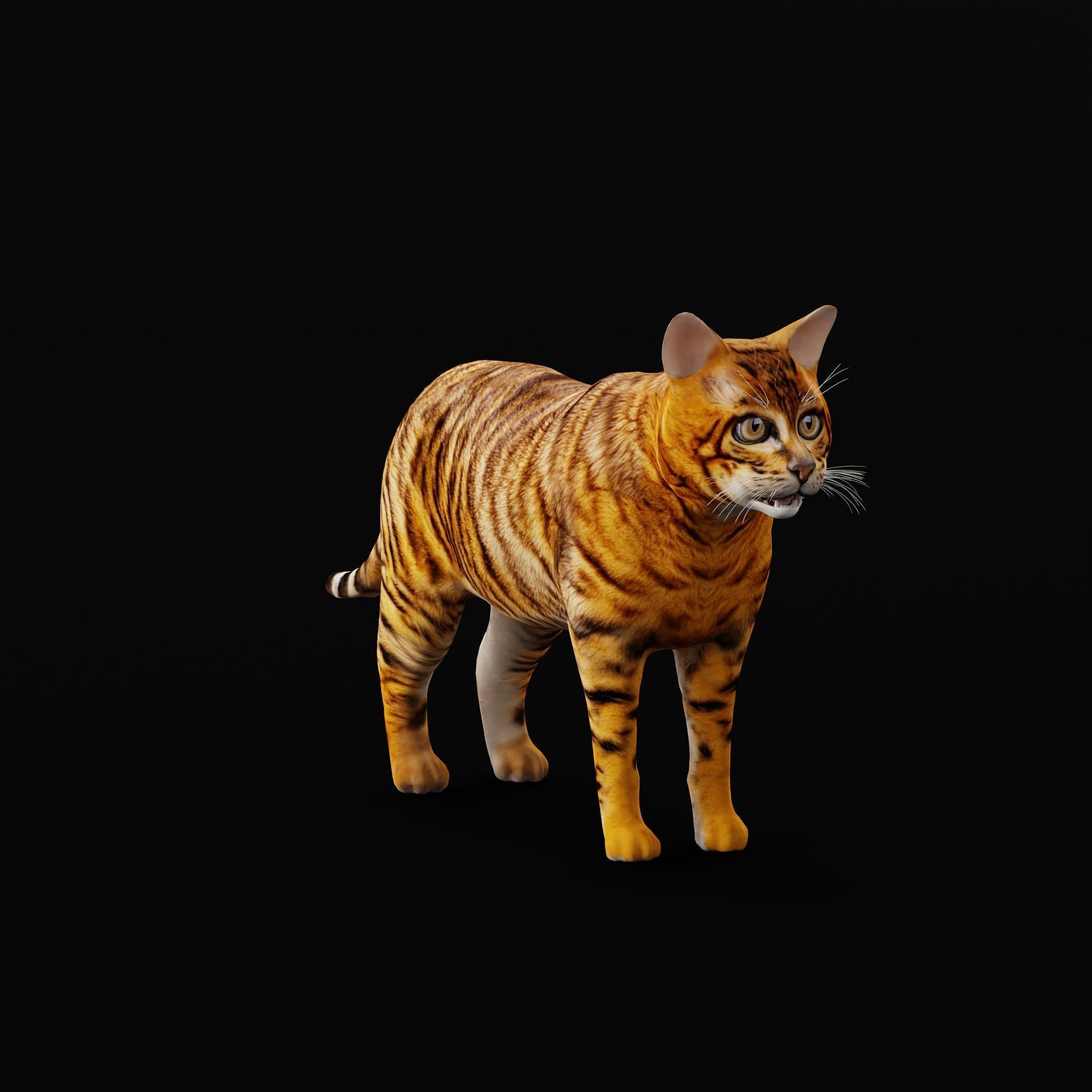 Cats Pack Low-poly 3D model_47