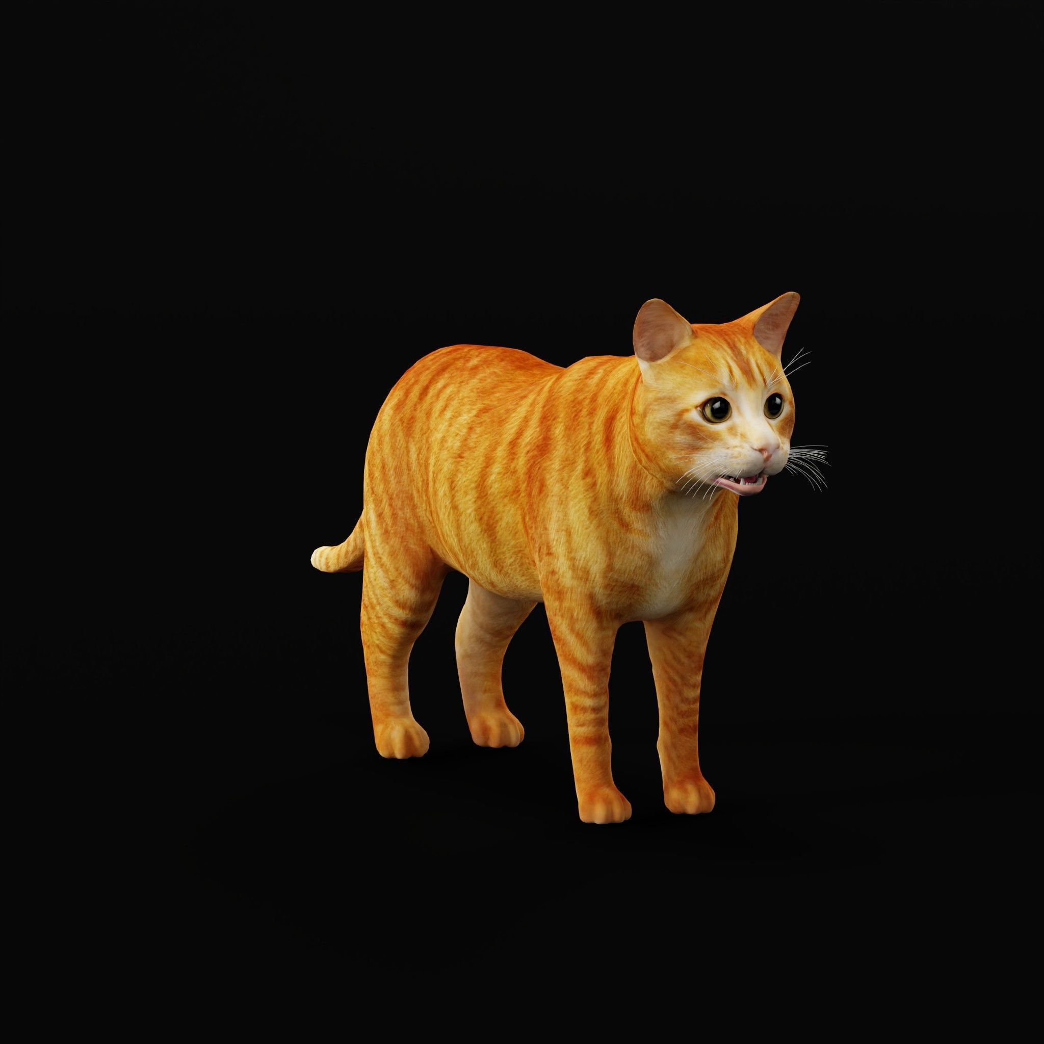 Cats Pack Low-poly 3D model_32