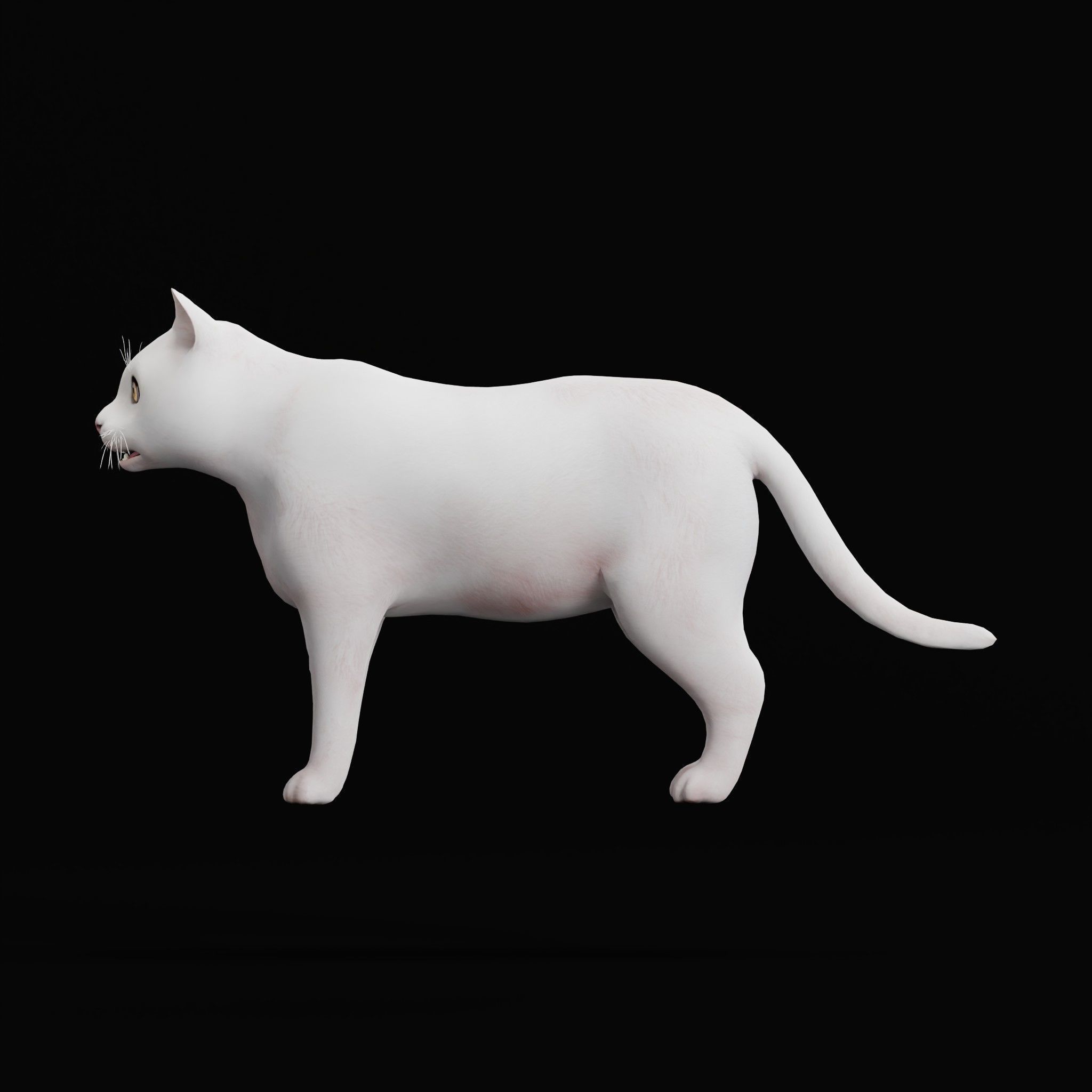 Cats Pack Low-poly 3D model_29