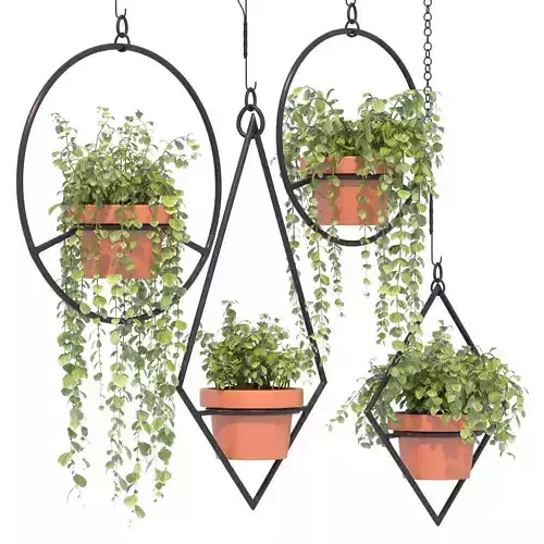 Boho Hanging Plants 03