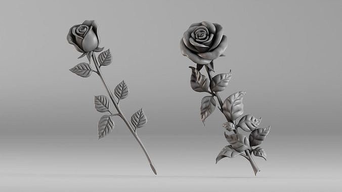 001649 Two Rose Variations 3D Print Model 3D print model