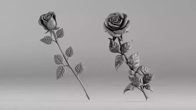 001649 Two Rose Variations 3D Print Model 3D print model