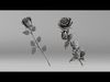 001649 Two Rose Variations 3D Print Model 3D print model_1