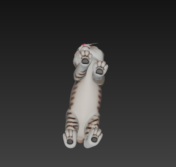 Cat Realistic 3D Model Basic - Low Poly Realistic Low-poly Low-poly 3D model_9