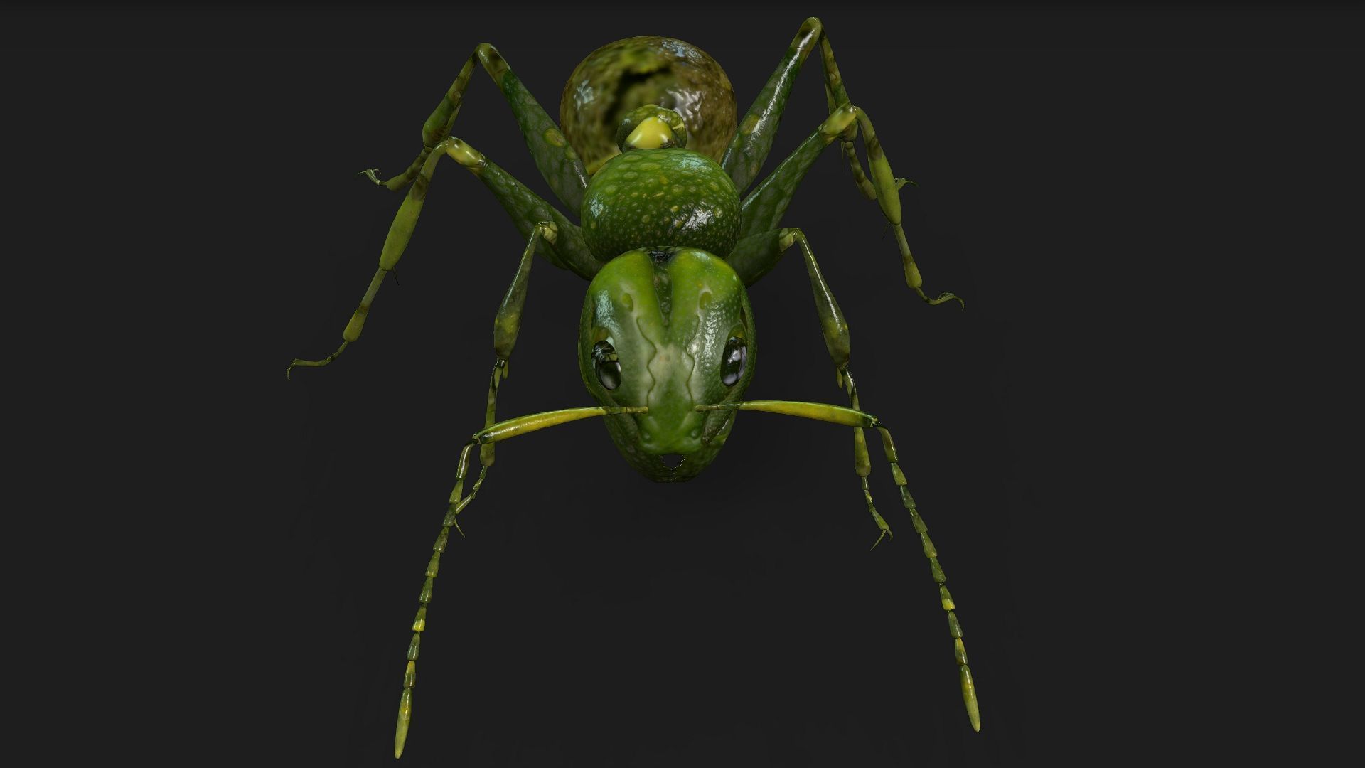 Ant-V1 3D model_6