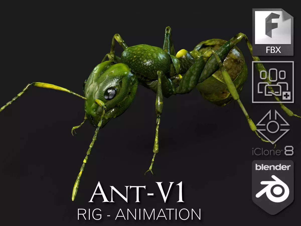 Ant-V1 3D model_0