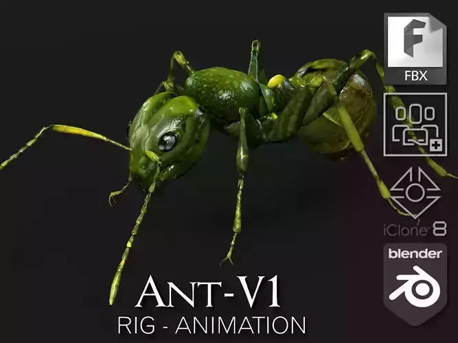 Ant-V1 3D model