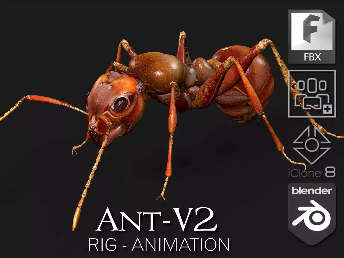 Ant-V2 3D model_0