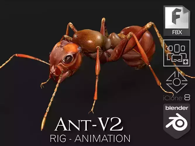 Ant-V2 3D model