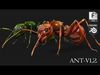 Ant-V2 3D model_1