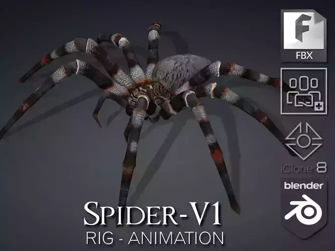 Spider-V1 3D model
