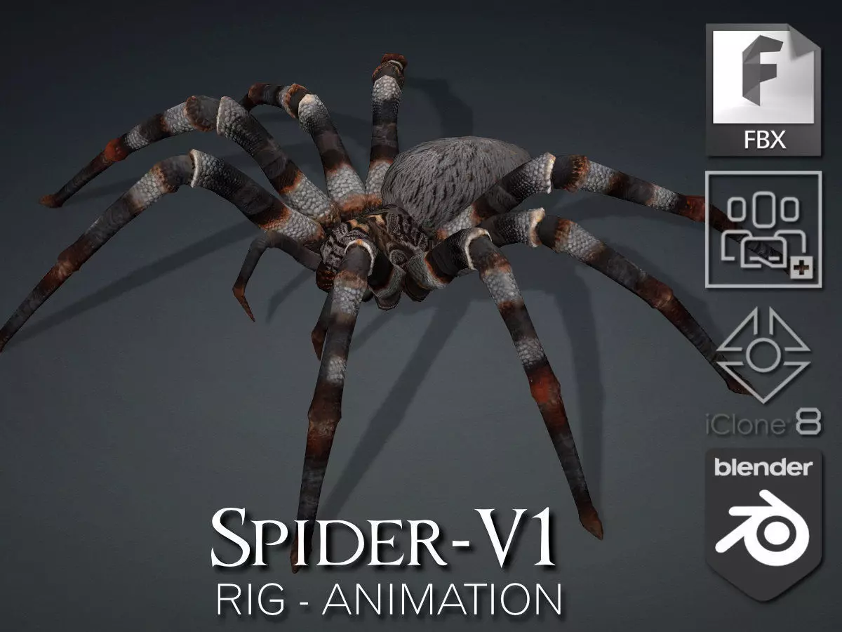 Spider-V1 3D model_0
