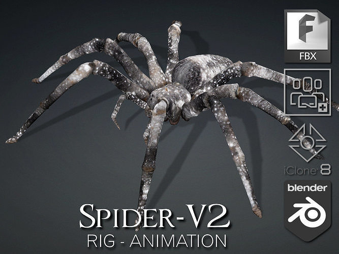 Spider-V2 3D model