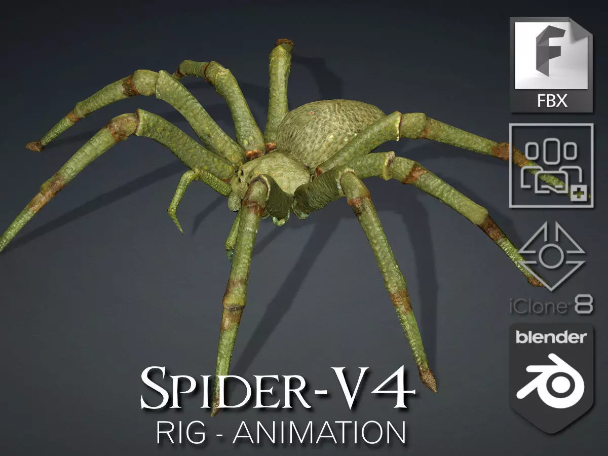 Spider-V4 3D model_0