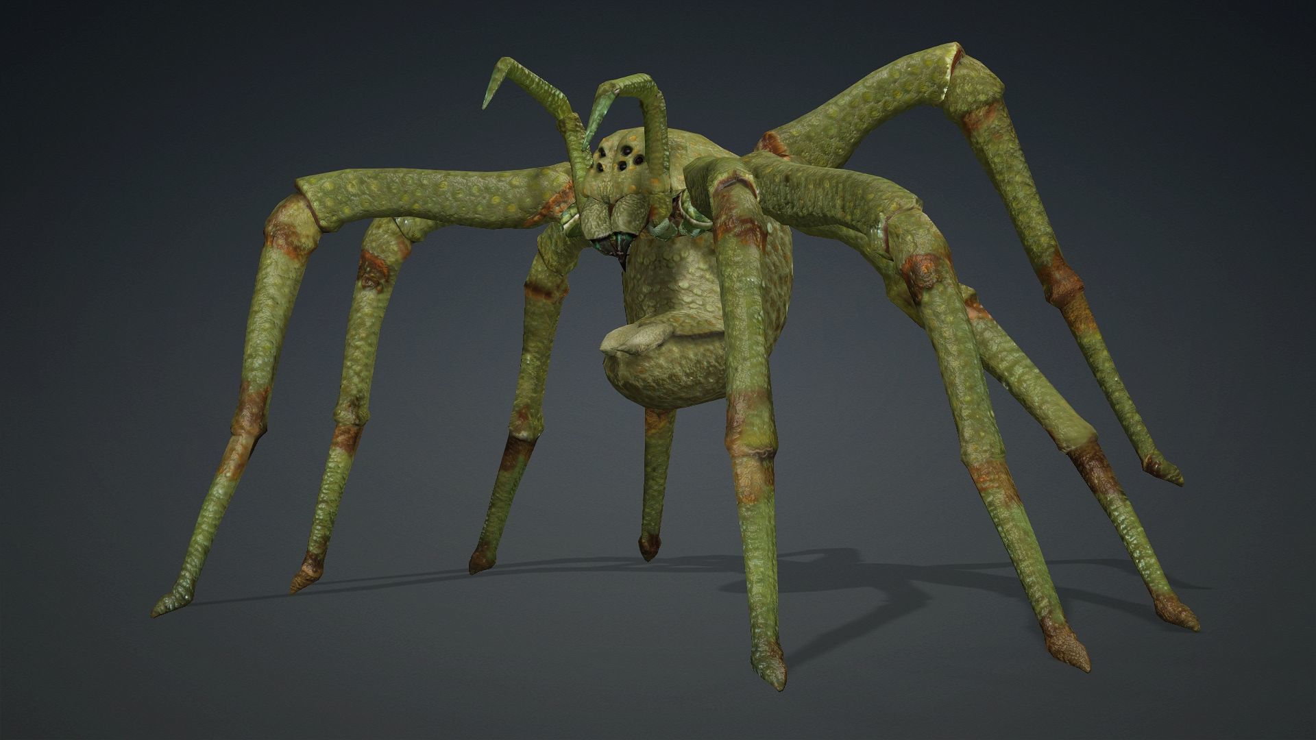 Spider-V4 3D model_13