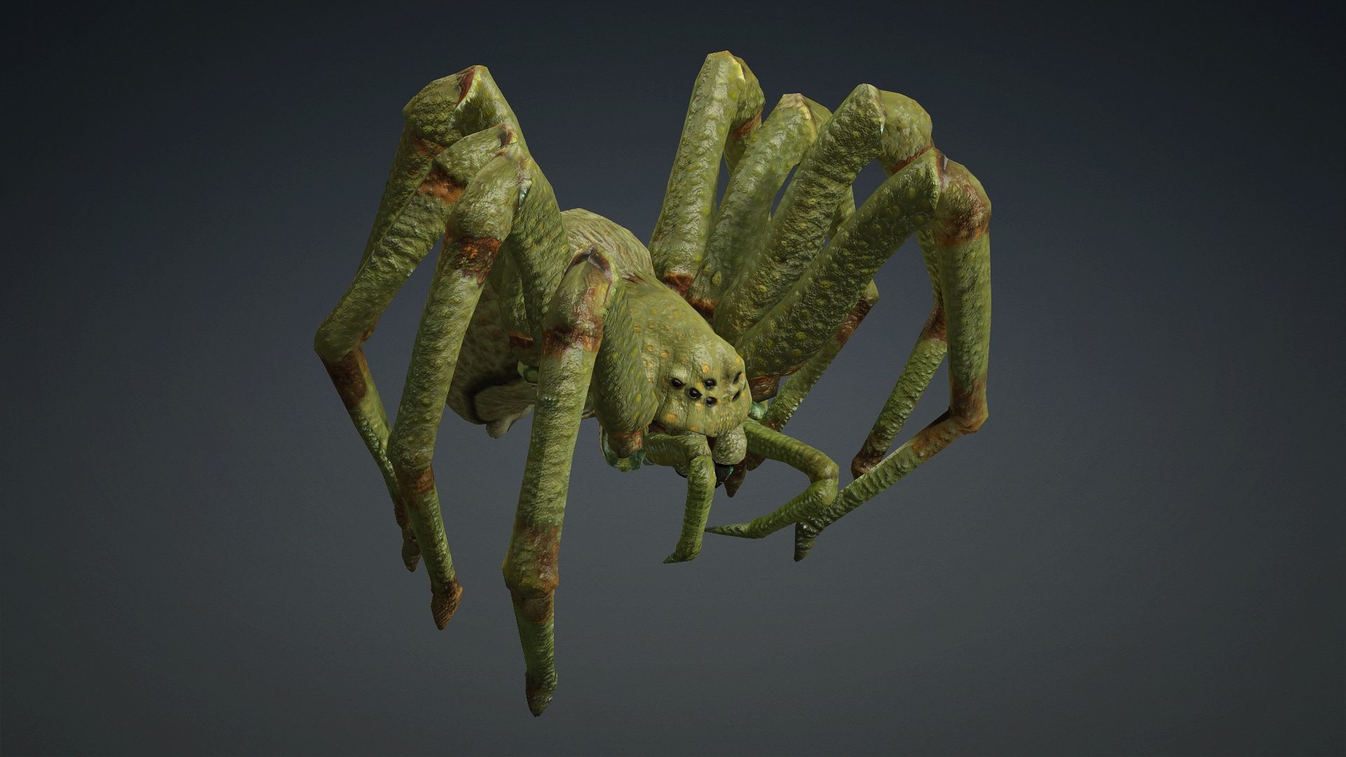 Spider-V4 3D model_10