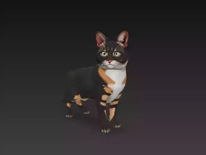 Cat Realistic 3D Model - Low Poly Realistic 