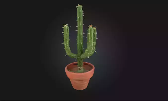 Cactus Trio in Pot  A Touch of Nature for Any Scene