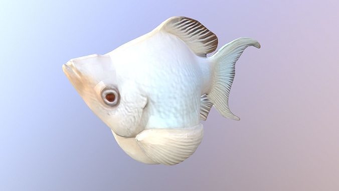 Balon Moly Low Poly Low-poly 3D model