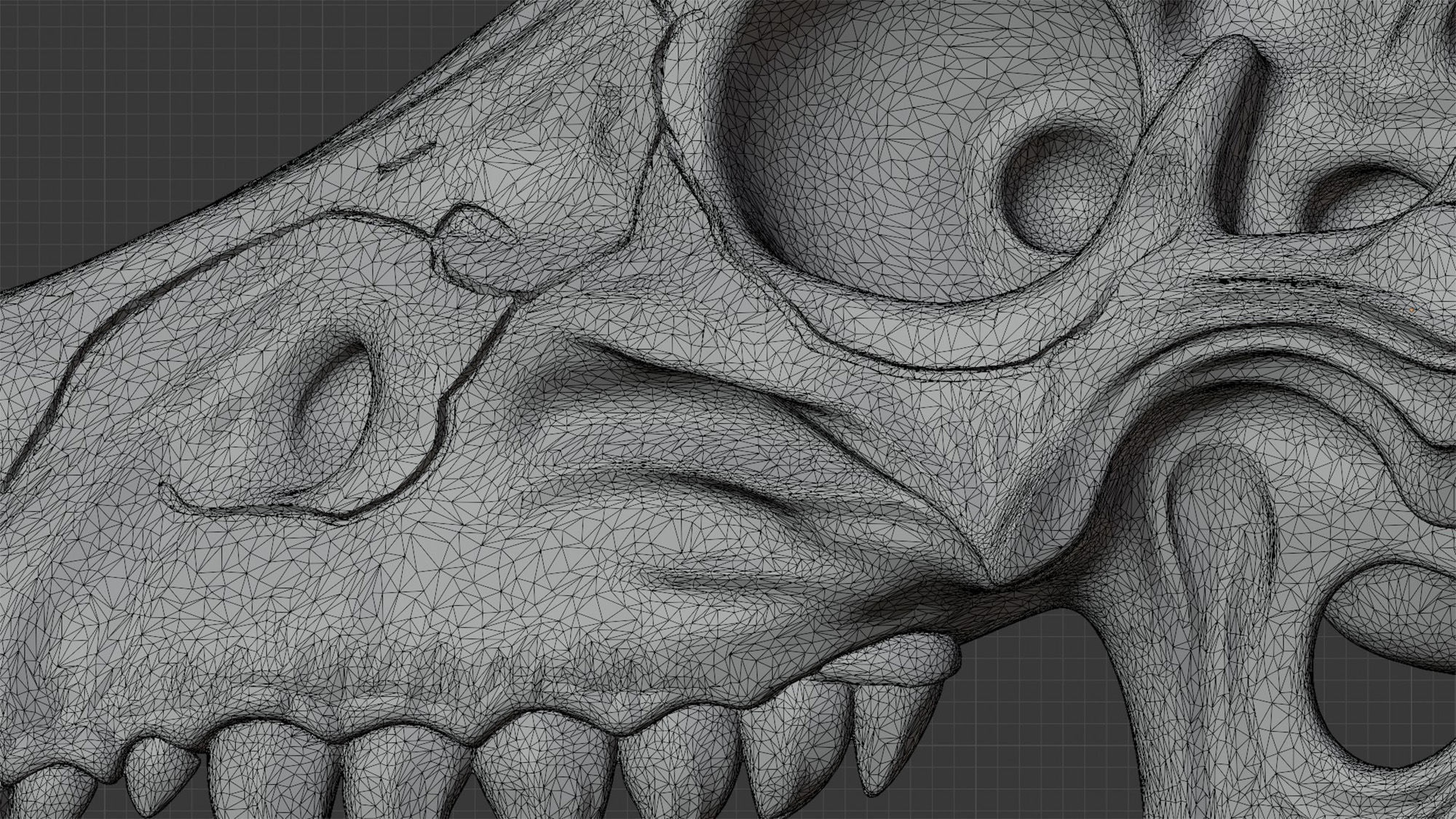 Dragon Skull 3D Print Model Mythical Bone Sculpture 3D print model_6