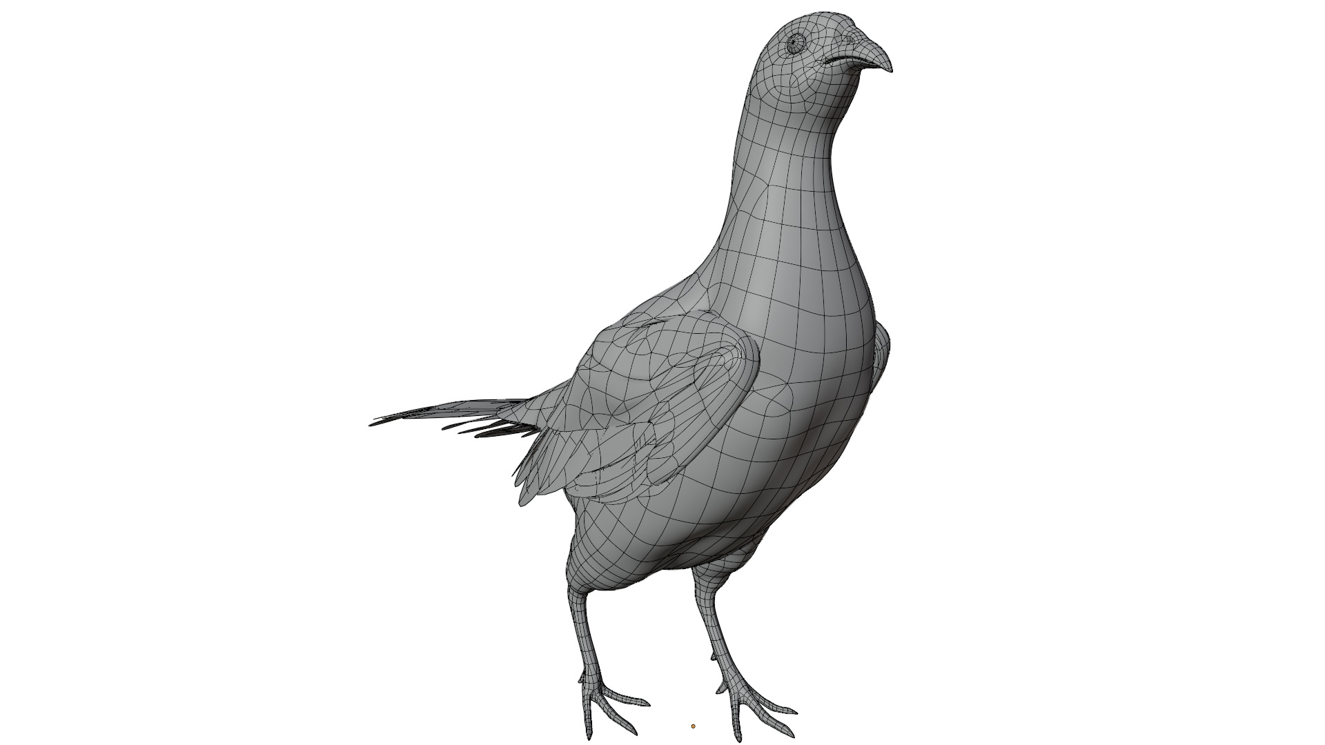 Pheasant 3D model_15