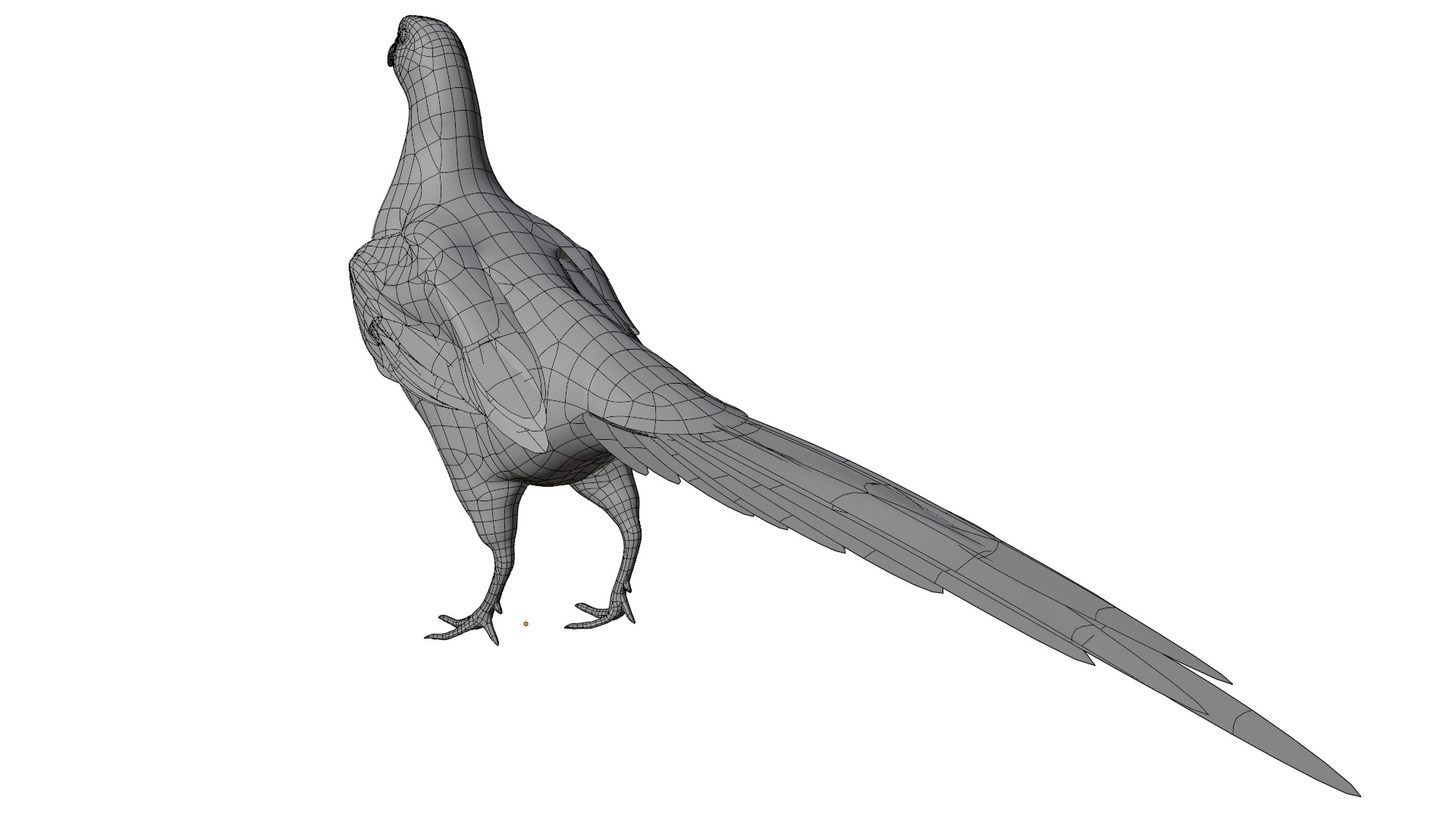 Pheasant 3D model_11