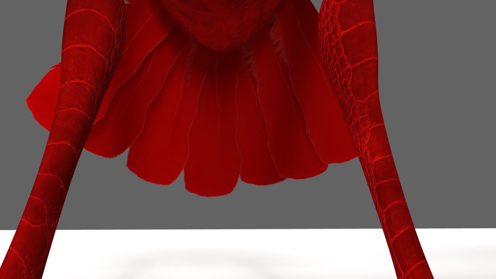 Scarlet-ibis Rigged 3D model_4