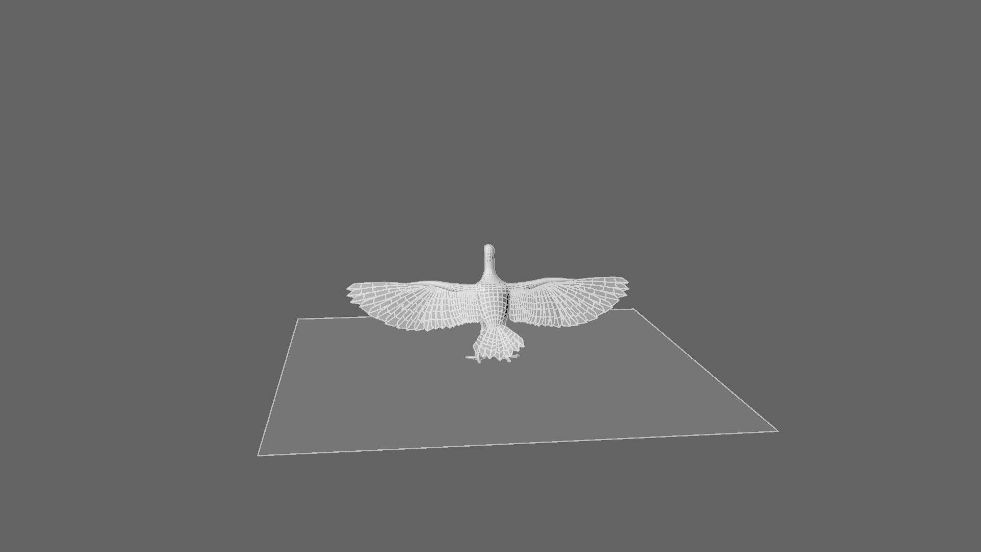 Scarlet-ibis Rigged 3D model_43