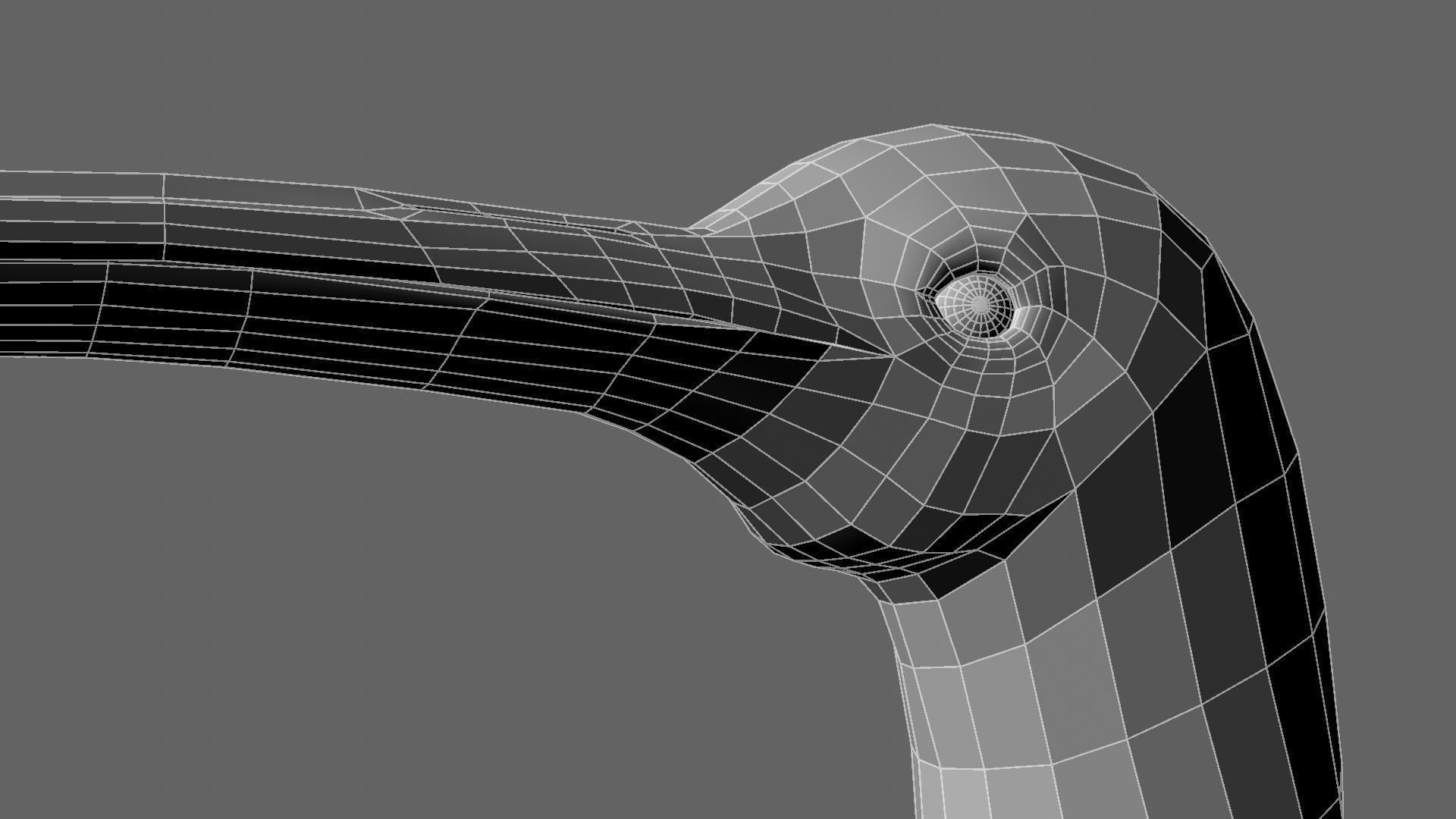 Scarlet-ibis Rigged 3D model_39